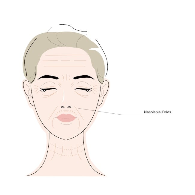 nose to mouth lines illustration nose to mouth lines illustration